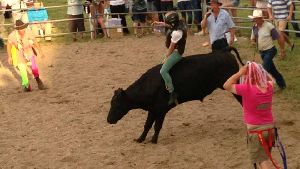 Open steer rides are part of the Cobargo Spring Horse Show.