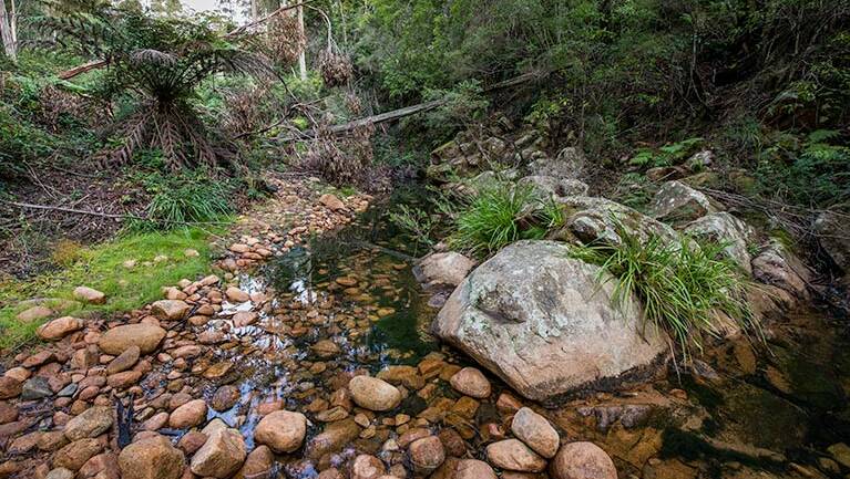Biamanga National Park. Photo: John Spencer/NSW Government.