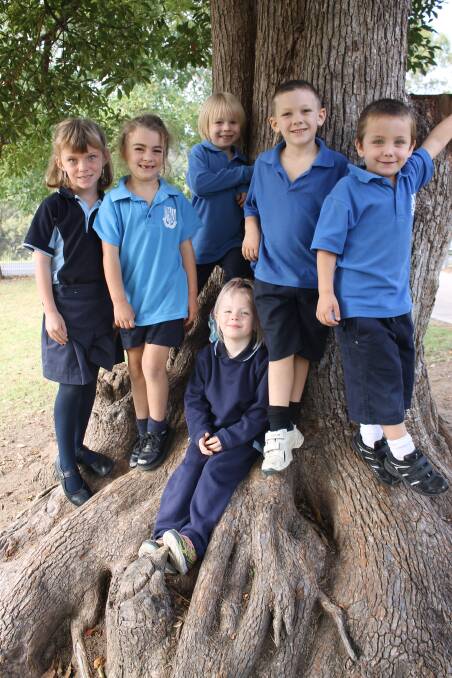Cobargo Public School’s Kindergarten class for 2015 includes (from left) Lucinda, India, Lilith, Beau, Chaise and (bottom) Marley. 