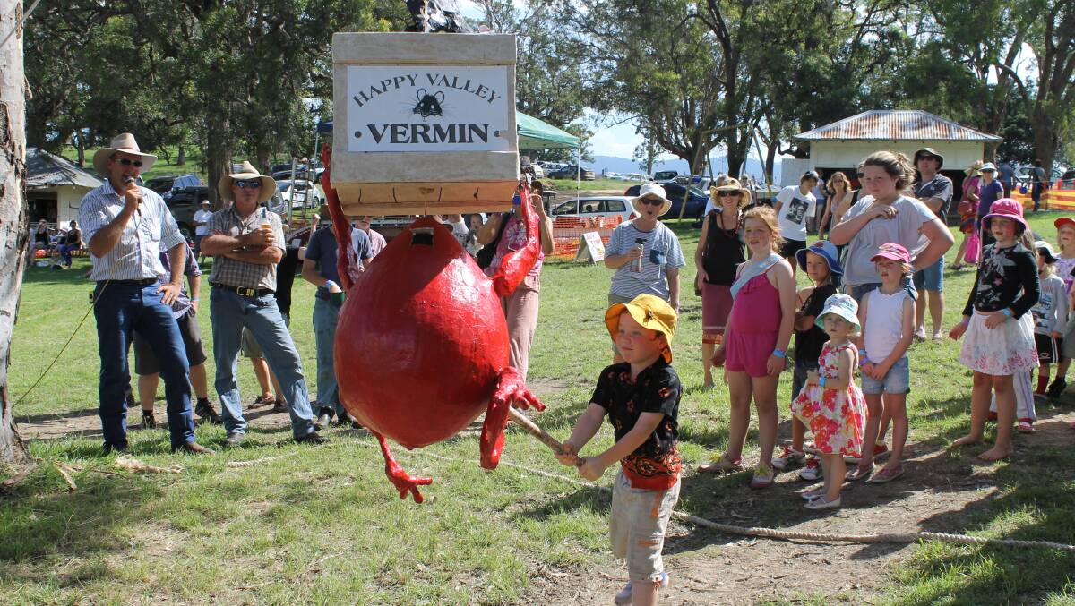 The pinata - hand made by the entertainment committee - is always a highlight for children at the Bemboka Show. 
