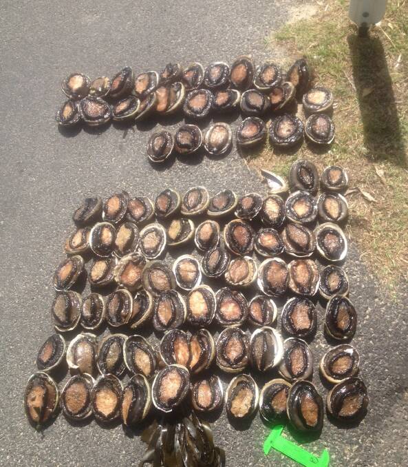 Two Bega men are facing charges relating to abalone poaching at Long Point in Merimbula.