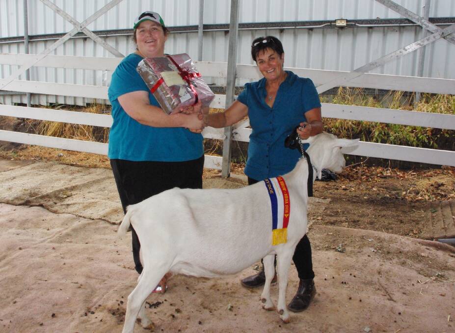 In the dairy goats category, Sarah Spence presents Kate Clarke with the Spence Family prize for Terrena Yentl.