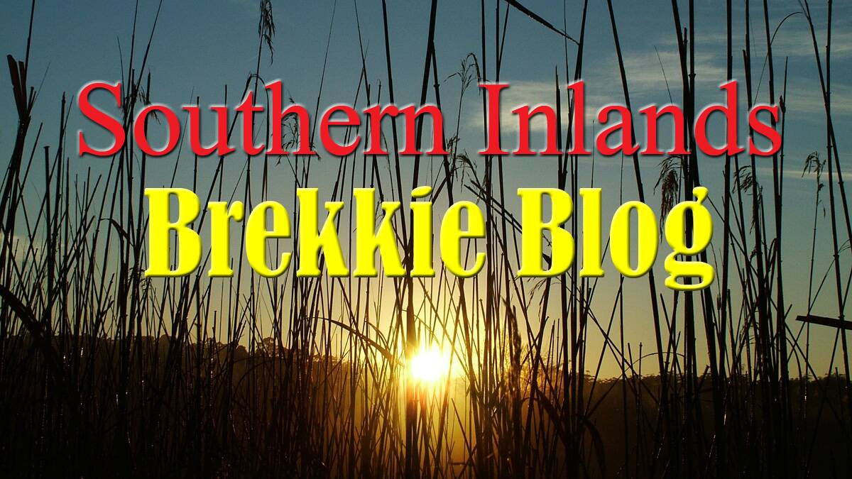 Southern Inlands Brekkie Blog - September 18