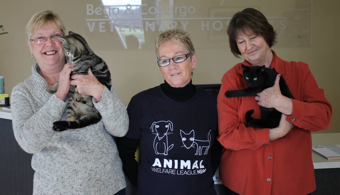 Animal Welfare League Far South Coast branch president Deborah Cox (right), contact person Helen Hall and secretary Glenis Curry hold kittens the league had for adoption. 
