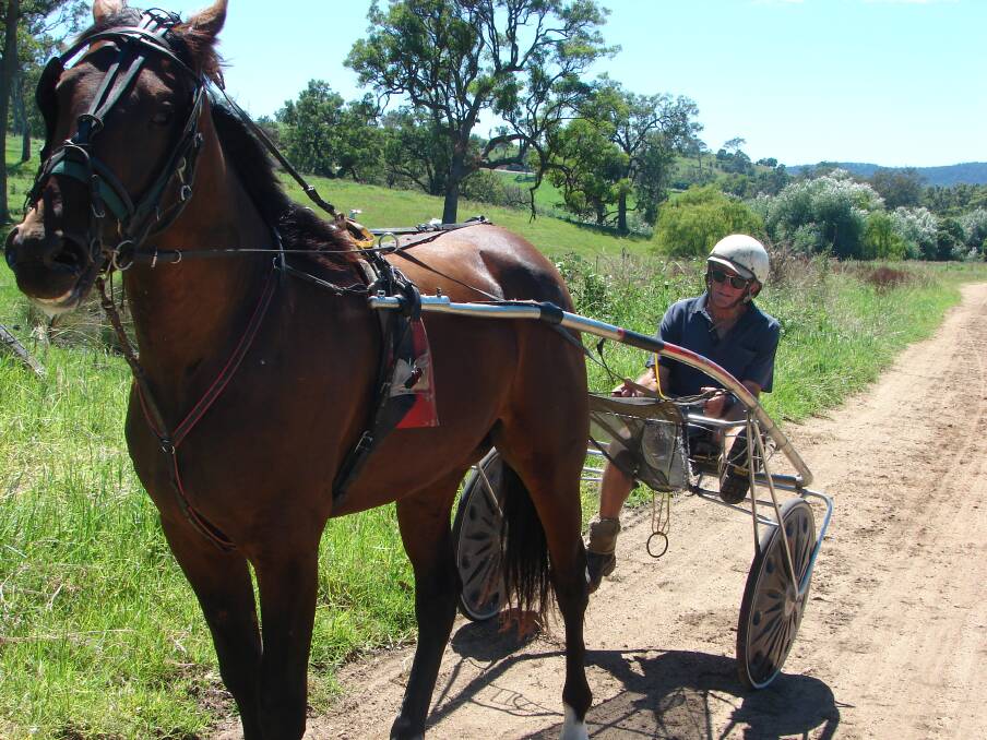 Bega harness trainer John “Tommy” Miller takes one of his horses for a run.