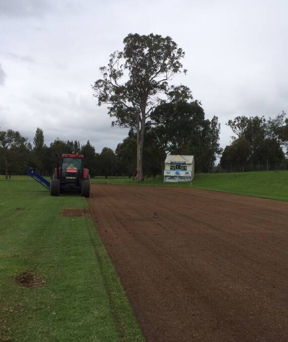 RIP IT UP: The Moruya Sharks will have an electronic scoreboard this season and new turf at Ack Weyman Oval. 