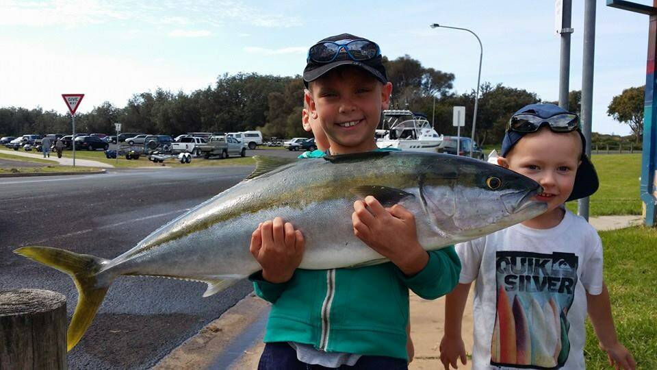 NAROOMA: The kingfish went ballistic at Montague Island off Narooma on Monday with lots of fish, several going 1m and bigger.Regular Narooma fisher boy 7-year-old Oscar Stepanek was very happy with his 9kg kingie caught on Monday - dad was more than happy to help him get it in the boat! 