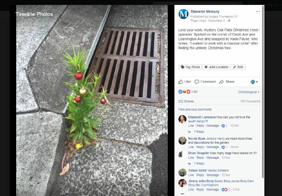 The post of the Oak Flats Christmas weed on our Facebook page.