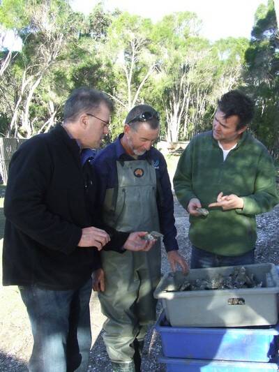 Gary Rodely of Tathra Oysters (middle) hosts President’s Medal judges Scott Davenport and Simon Marnie recently. The winner of the $10,000 medal will be announced on July 26.