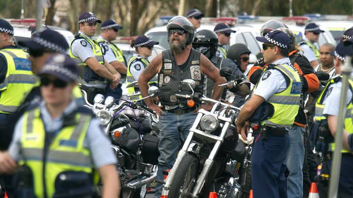 The taskforce, established by the Australian Crime Commission, may become a template for battling bikie gangs including the Bandidos, Hells Angels and Comancheros. Photo: Luis Enrique Ascui