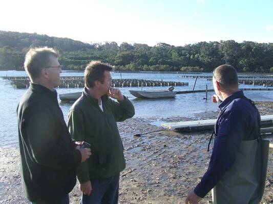 President’s Medal judges Scott Davenport and Simon Marnie are given a tour of Tathra Oysters’ allotment in Nelsons Lake by owner Gary Rodely.