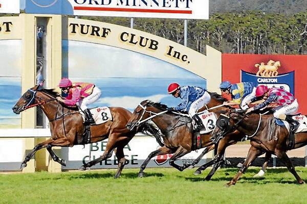 • Domidor, trained by Moruya hobby trainer Steve Stephens and ridden by apprentice Natasha Winton, puts in a dominant performance to win the $27,000 Bega Cheese Bega Cup at the Sapphire Coast Turf Club on Sunday. Photo courtesy of Bradley Photographers.