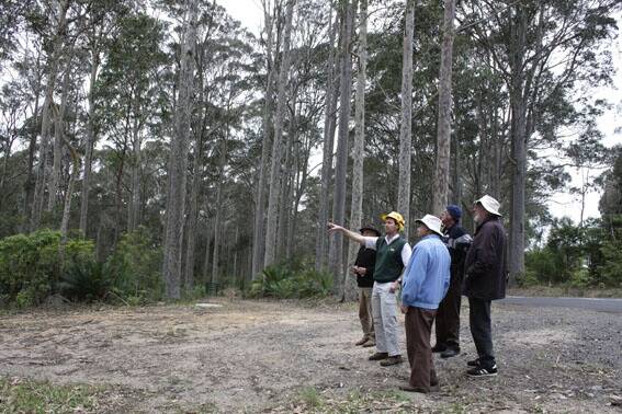 • Kevin Petty from Forests NSW explains the plans for logging at Bermagui’s northern entrance to Mal Dibden (left) John Mumbulla, Eric Naylor and Dane Wimbush, representatives of Biamanga and Gulaga National Parks boards of management.