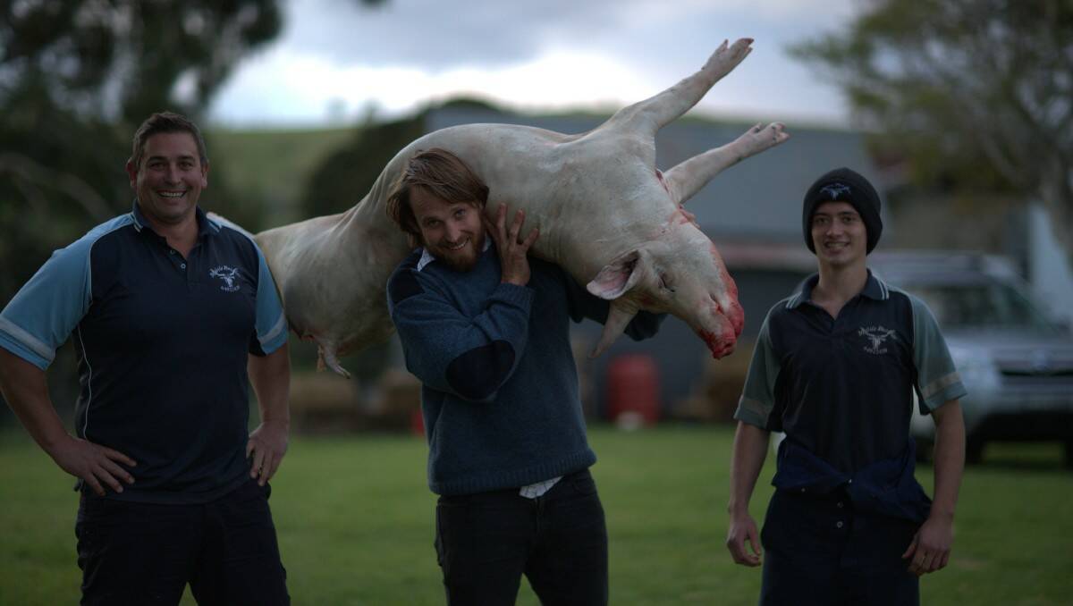 Bega mobile butcher Matt Christison (left) helps River Cottage Australia host Paul West through the challenge of slaughtering and butchering a pig in an episode to air on Thursday. Photo courtesy of Foxtel.
