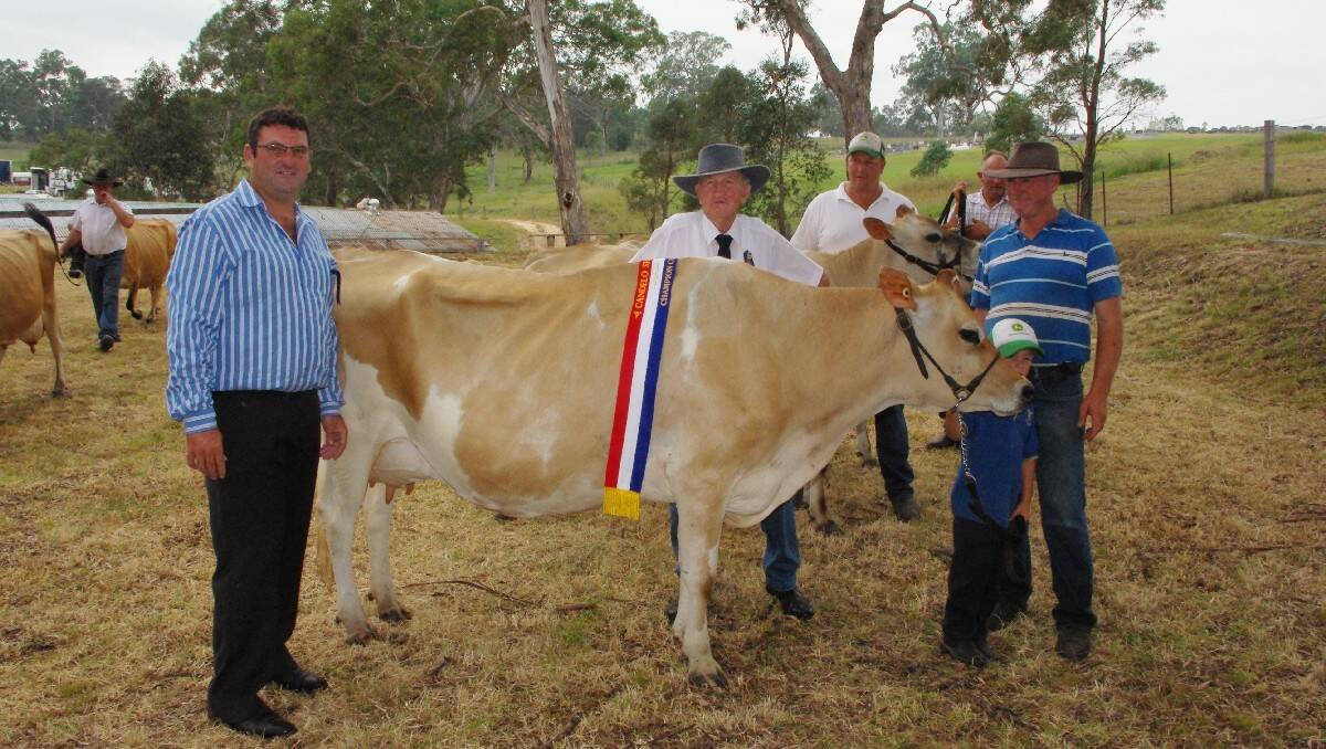 Kevin Slater sashes the champion cow of the Candelo Show, Cedarrude Bennys Delight. At the presentation are (from left) judge Michael Rood, exhibitor Robert Salway, Jack Salway and (background) Aaron Salway, owner of the champion.