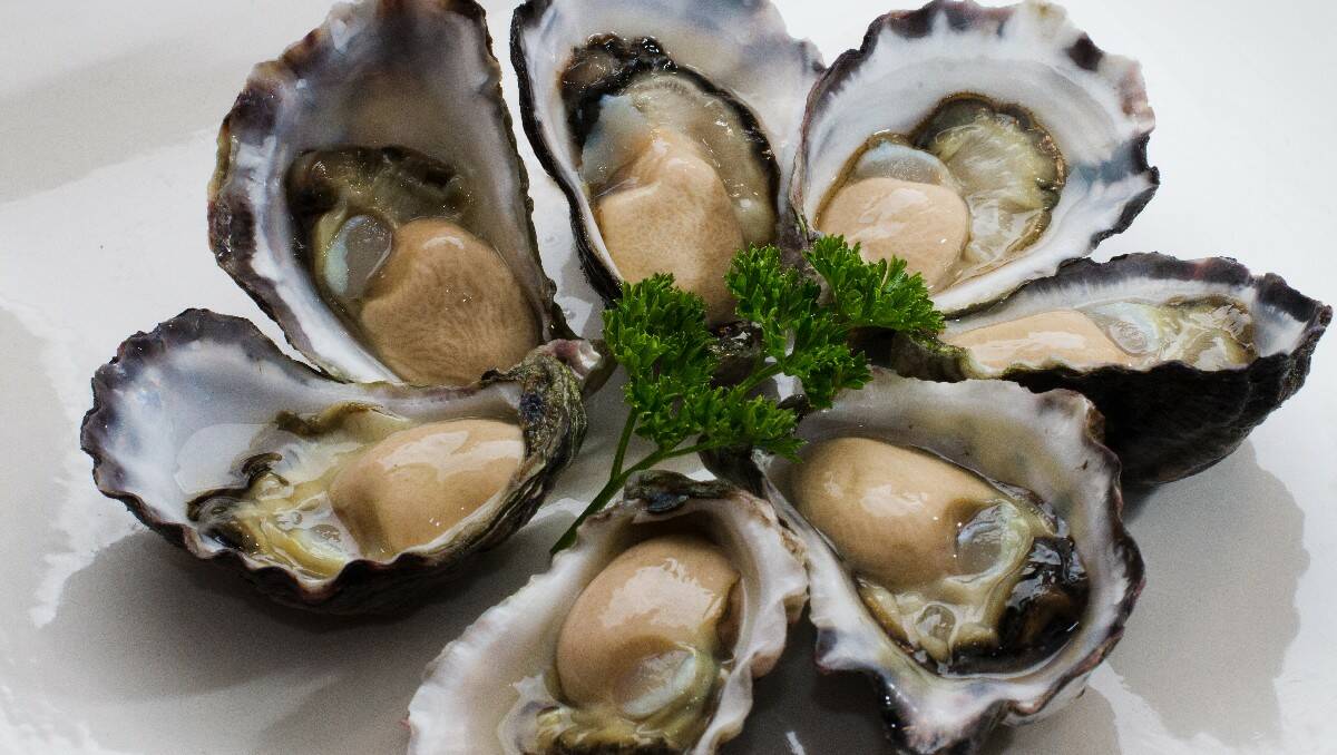 A plate of delicious Tathra Oysters.