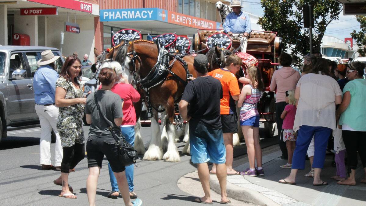A large crowd gathers outside the Commercial Hotel, Bega, to have a look at the Carlton Draught Clydesdales.
