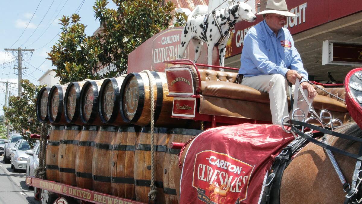 Richard Gelder leads the Carlton Draught Clydesdales, accompanied by a dalmation named Cassie.