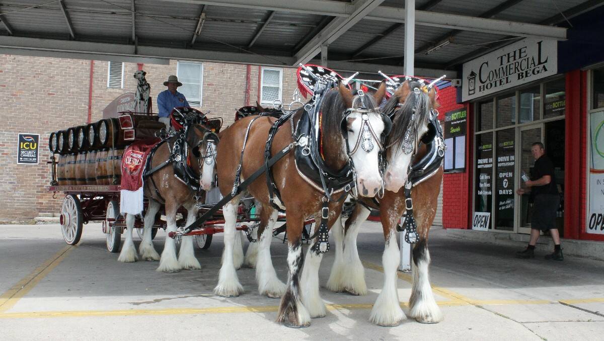 The Carlton Draught Clydesdales pull up outside the Commercial Hotel’s Little Bottler takeaway shop.