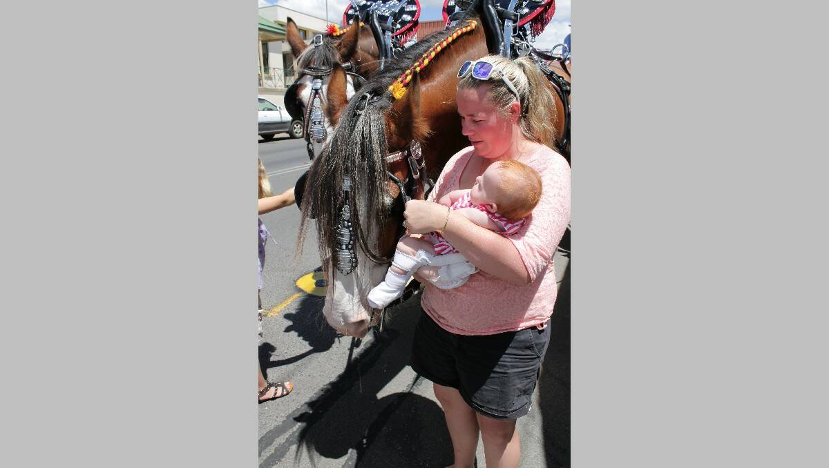Eden’s Jess Crocker and her daughter Maddy meet Andy, one of the Carlton Draught Clydesdales.