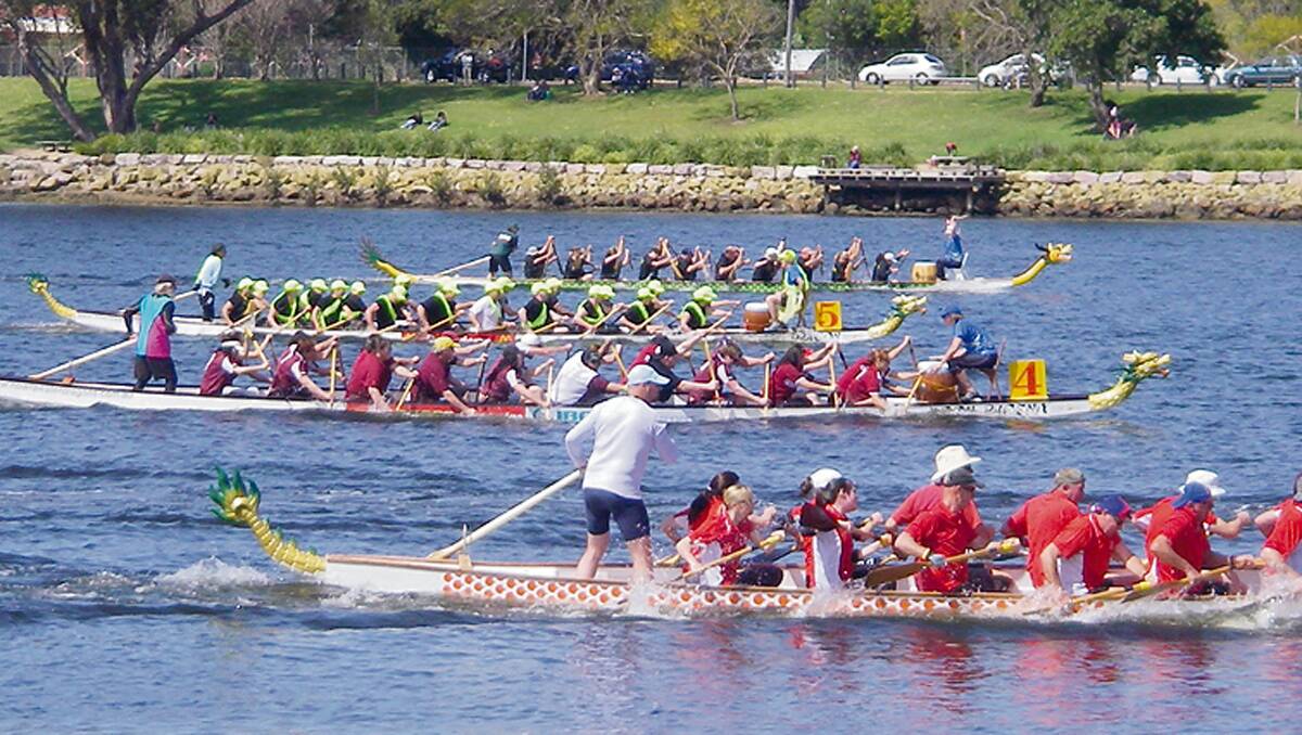 • Dragon boaters compete at a regatta in Nowra recently. 