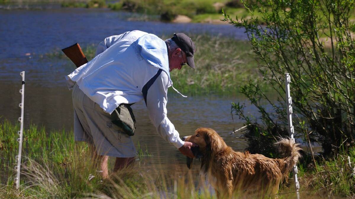 BOMBALA: Rob Boodnikoff competed in the ACT State Gun Dog Retrieving Titles that were held in the small village of Bibbenluke, near Bombala, over the weekend.