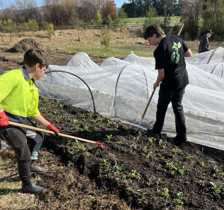 A plot of land on Auckland Street Bega is being transformed into a market garden for youth which is part of a new social enterprise in the town called Grow the Future. Picture supplied. 