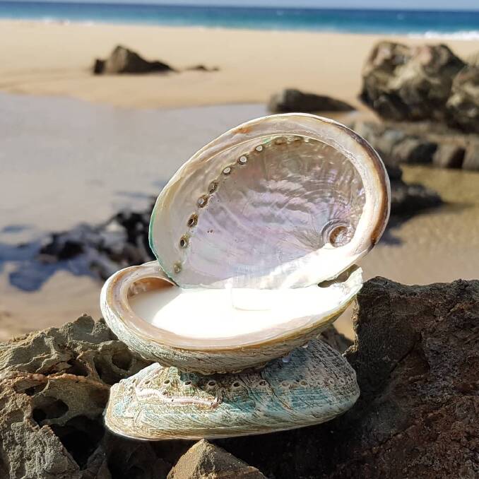 One of the abalone candle creations by Wilderness Coast Candles based in Mallacoota. Picture supplied. 
