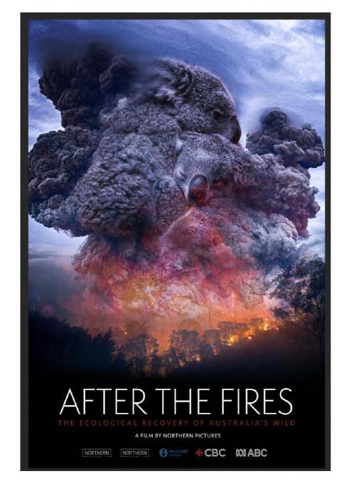 Poster of the documentary 'After The Fires'. 