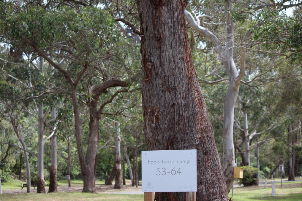 Can you spot the kookaburra sculpture? Hint: it's a metallic sculpture blending in with the tree canopy. 