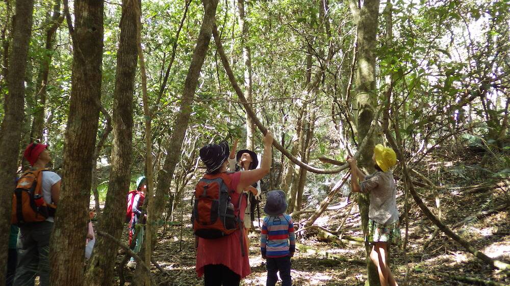 Bega Valley to take part in the Great Southern Bioblitz starting on Friday October 22. Photo: a nature walk in the bush at Tanja from previous Atlas of Life event. Photo supplied. 