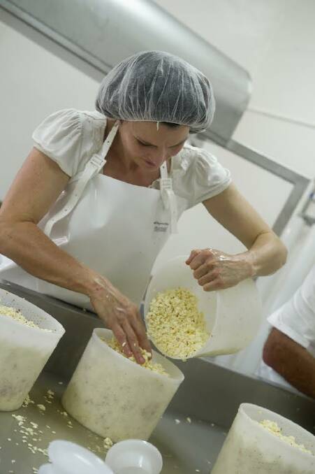 Tilba Dairy owner and cheesemaker, Erica Dibden busy at work in the Tilba factory. Photo supplied
