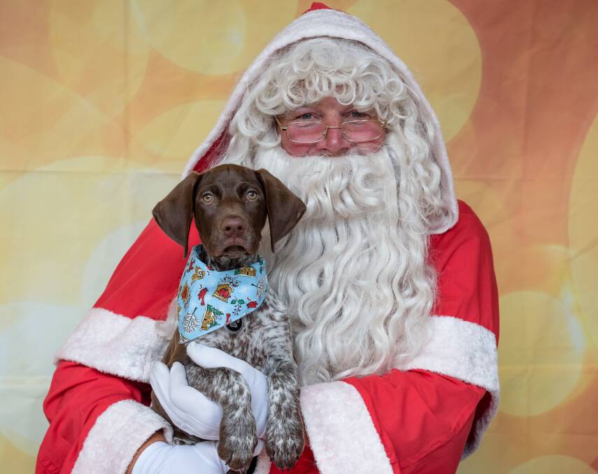 It's time to tell your fur babies that Santa has come to town. In picture: Santa and Bentley. Photo: Dee Gee's Photography