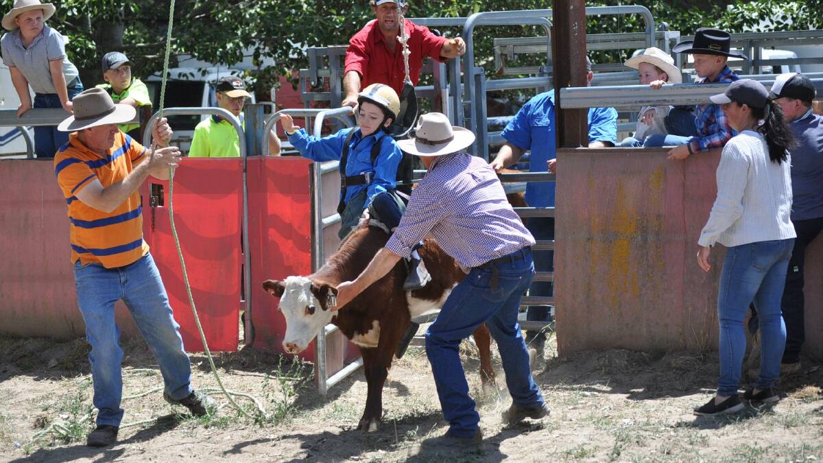 Action from the Junior Rodeo event at the 2019 Nimmitabel Show. 