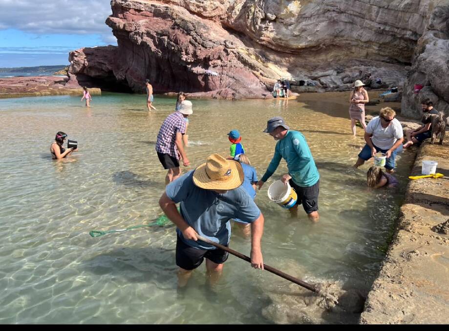 Community members from across the Bega Valley attend the big sand scoop out event at Aslings Rock Pool on Saturday February 24. Picture supplied. 