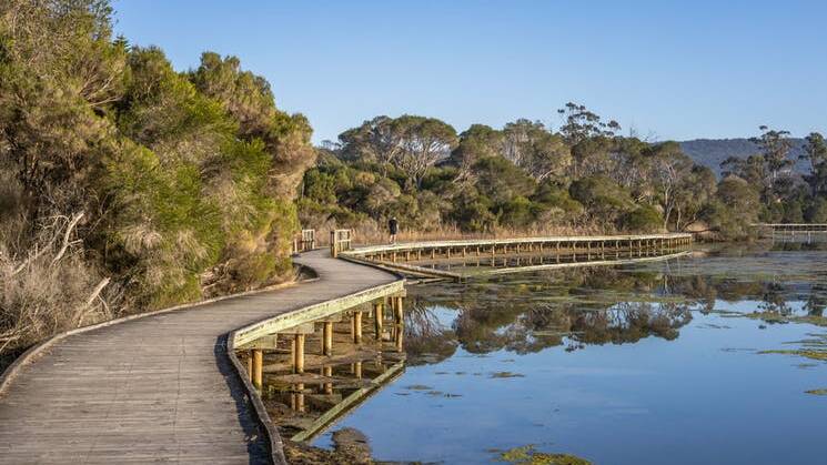 The Bundian Way track will also make use of existing infrastructure on the walk. Photo: Destination NSW