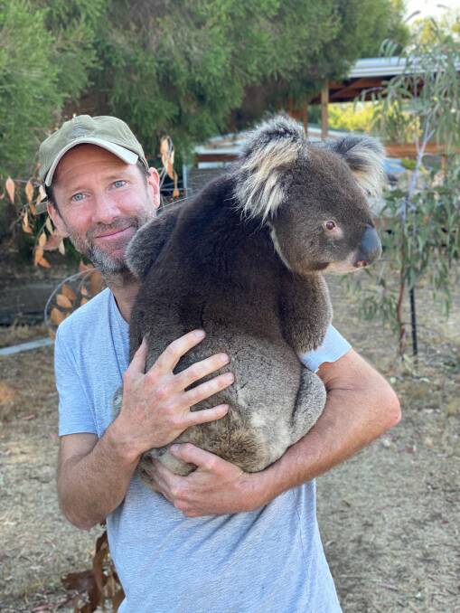 Cian O'Cleary with a koala saved from fires. Photo supplied.