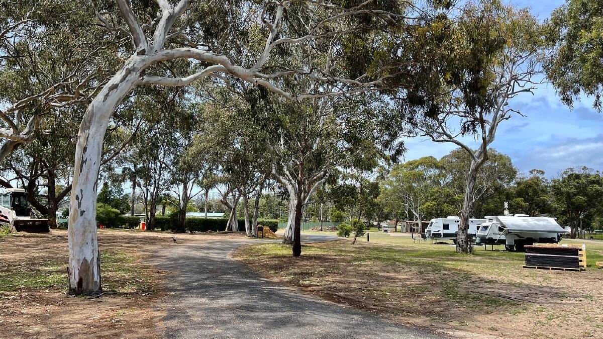 60 powered camping sites have been built in the first stage of reopening in the Tathra Beach Eco Camp. Photo: Amandine Ahrens