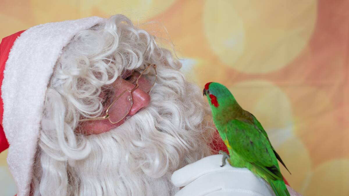 Cyril and Santa. Photo: Dee Gee's Photography 