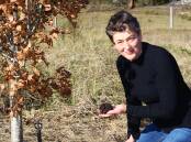 Local truffle grower Fiona Kotvojs welcomes visitors to find their own truffles on her farm. Image: Supplied.