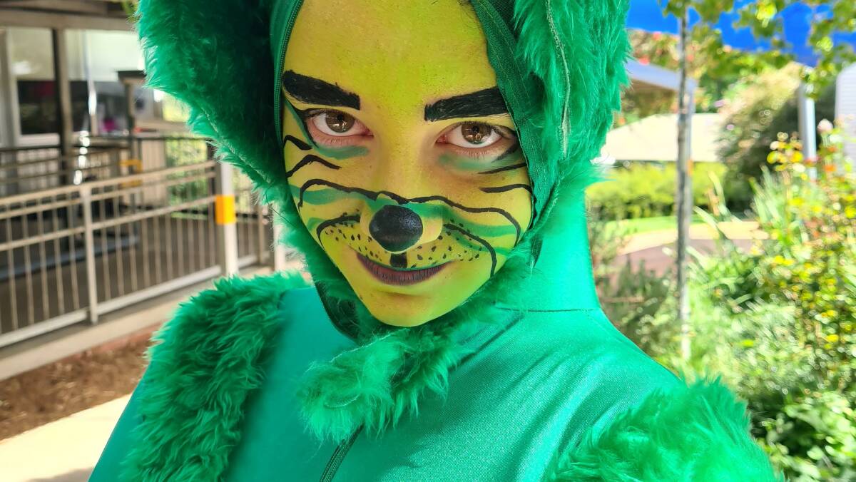 Year 6 student Chiara McDonald in her costume for a performance she did called 'Grinchy Christmas' at the South Coast Drama Festival, held in September. Picture supplied 