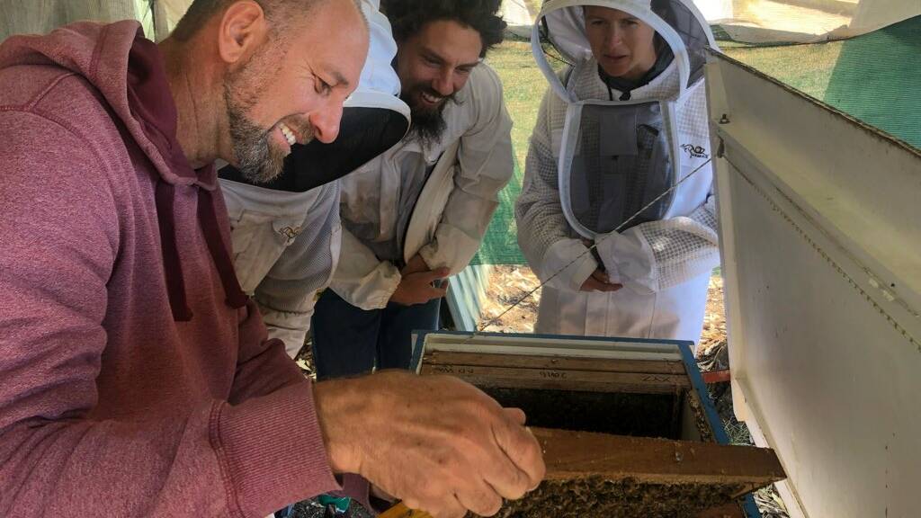 Adrian Iodice teaching natural beekeeping to three students in the Northern Territory. PIcture: supplied 