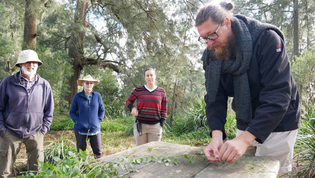 CSIRO research scientist Dr Ben Gooden shows members of the Bega River and Wetlands Landcare Group the infected leaves on the wandering trad. From left: Chris Allen, Lynn Heffernan, Erin Moon and Dr Gooden. Photos: Ellouise Bailey