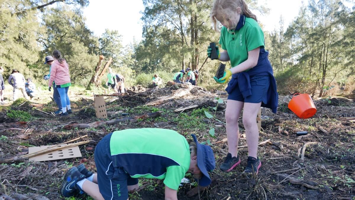 BVPS pupils Lucas and Makayla planting native saplings along the foreshore of the Bega River. Picture: Ellouise Bailey 