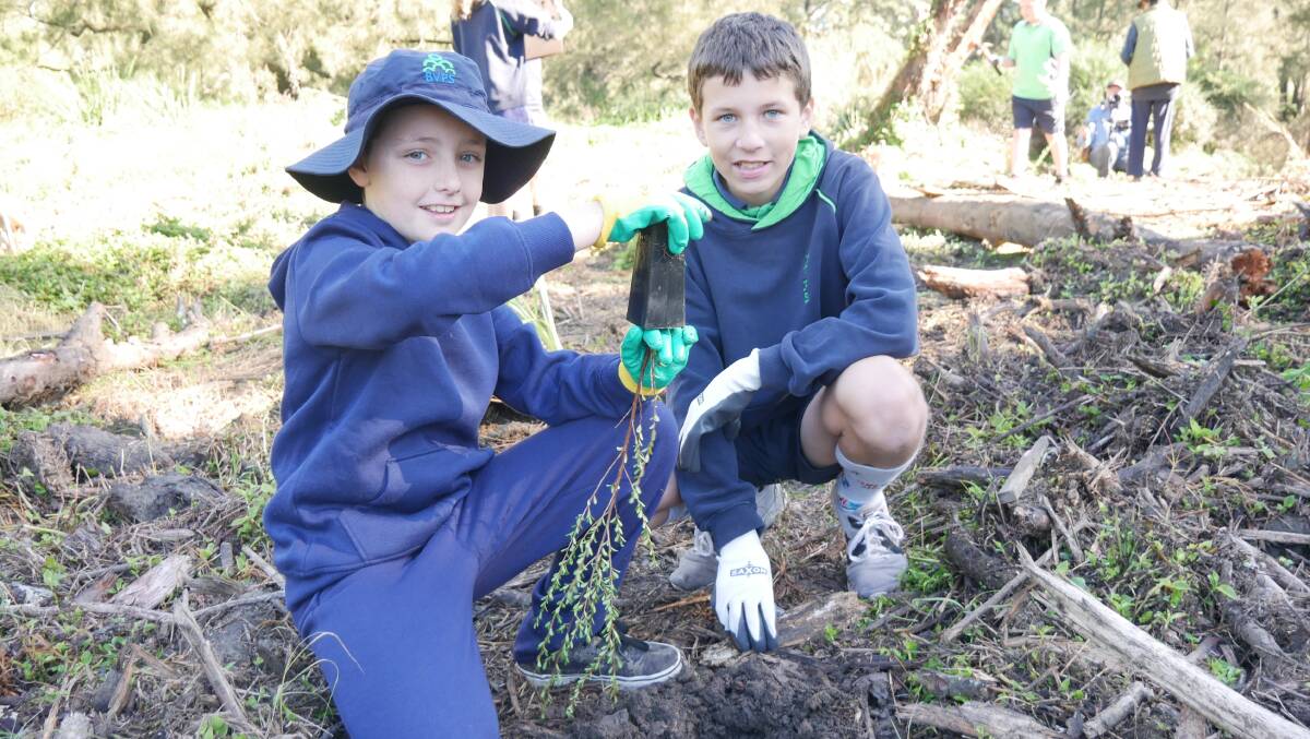 Bega Valley Public School Year 6 pupils Hector and Taylor planting native trees at the Bega River thanks to a NSW Environmental Trust Grant awarded to the Bega River and Wetlands Landcare Group (BRAWL). Picture: Ellouise Bailey