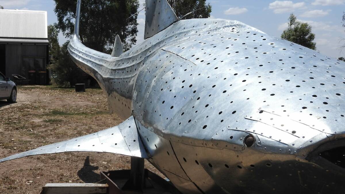 Sam Anderson's Whale Shark sculpture. Photo: supplied 