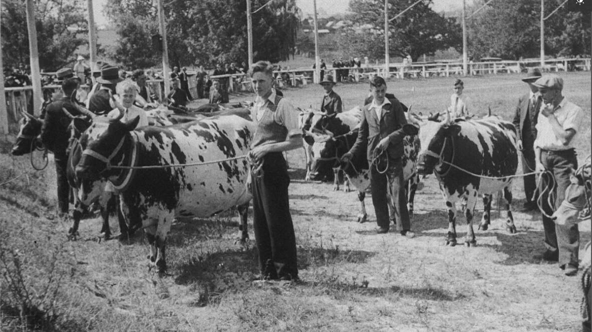 History of the Bega Show: Early days until the mid-20th Century