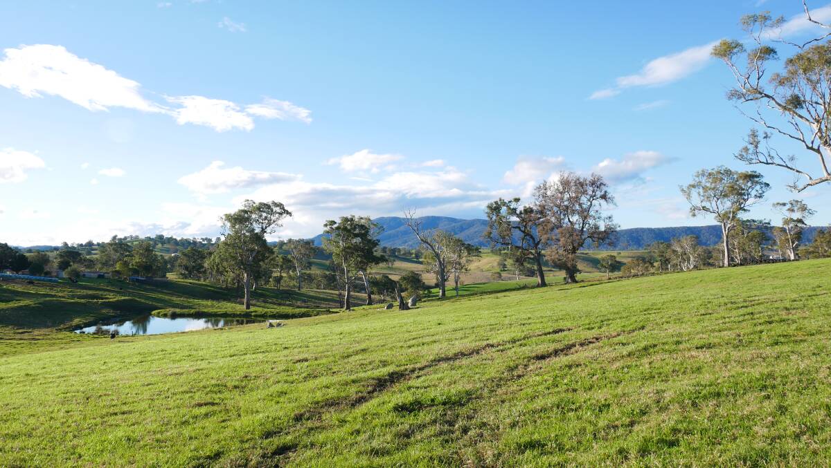 Rural land was the strongest land value increase in the Bega Valley, with an increase of 24.1%. Photo: Ellouise Bailey
