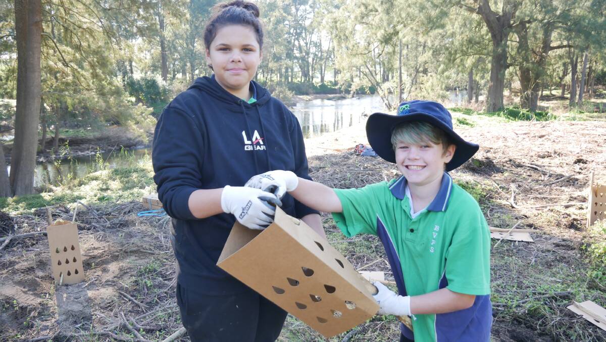 BVPS pupils Nardi and Nathan hold a cardboard barrier used to protect the young saplings from the elements or getting trampled. Picture: Ellouise Bailey 