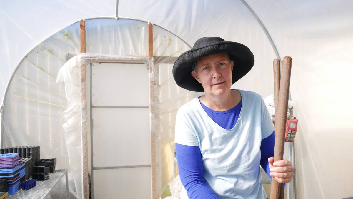 The Bega Valley Seed Savers group seed bank is currently at Liz Worth's home in Stony Creek. There is also an active seed saver group in Cobargo that has a sister collection. Here Liz stands in the group's greenhouse at the Buckajo property that the group will turn into a seedling nursery just before spring. Photo: Ellouise Bailey 